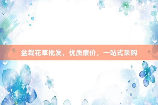 盆栽花草批发，优质廉价，一站式采购
