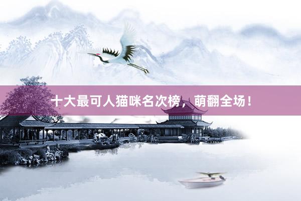 十大最可人猫咪名次榜，萌翻全场！