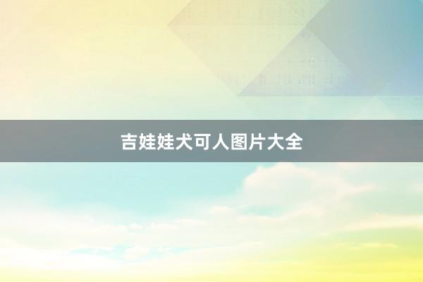 吉娃娃犬可人图片大全