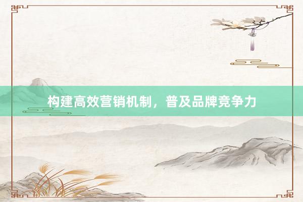 构建高效营销机制，普及品牌竞争力